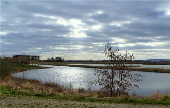RSPB Burton Mere Wetlands 1