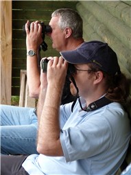 Concentrated birding
