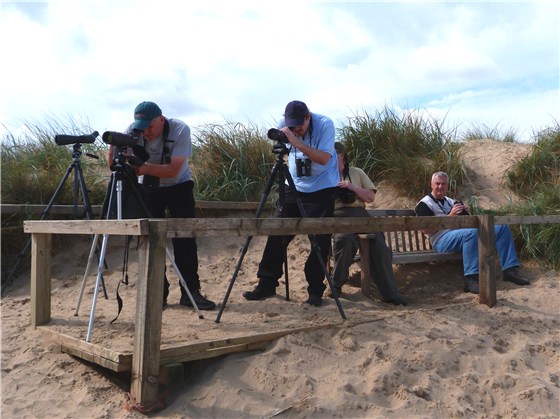 Seawatching at Titchwell