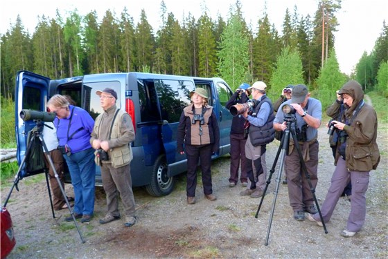 Eagle Owl watchers Finland 2013