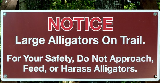 Aligator sign 1